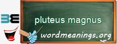 WordMeaning blackboard for pluteus magnus